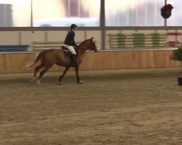 Late Entry Südlohn-Oeding 2015