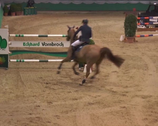 Hallenturnier Gahlen 2015