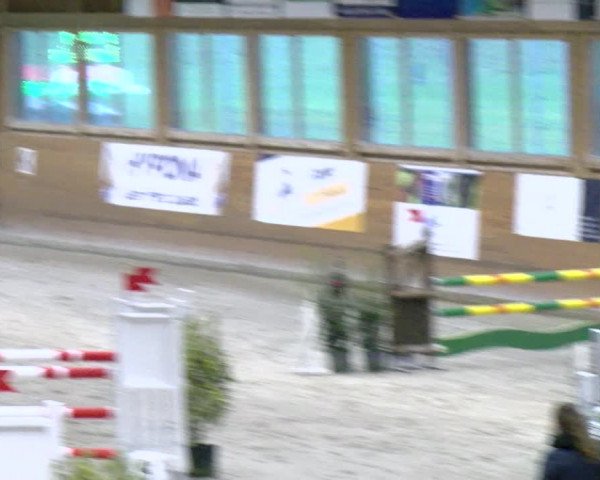 Reitturnier Rüti 2021