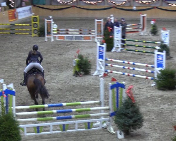 Reitturnier Leck 2021