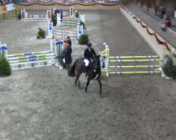 Reitturnier Leck 2021