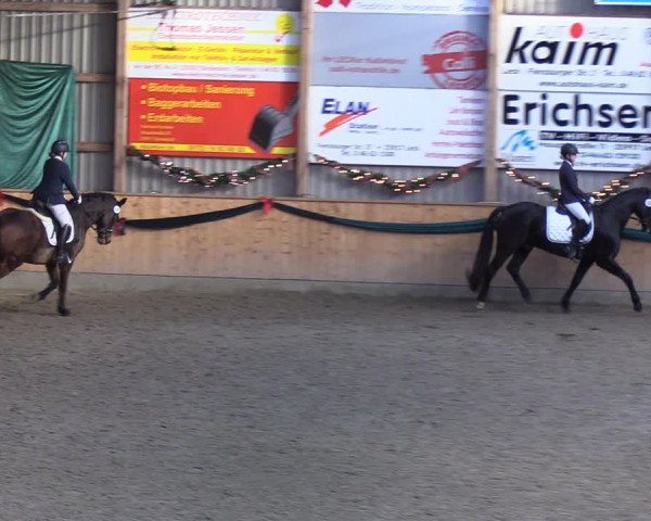 Reitturnier Leck 2021