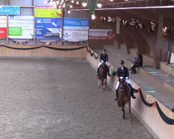 Reitturnier Leck 2021