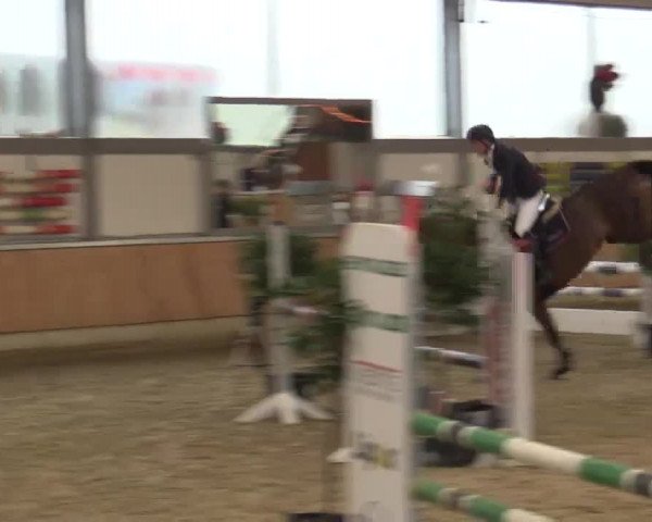 Late Entry Südlohn-Oeding 2015