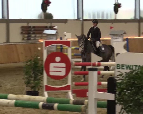 Late Entry Südlohn-Oeding 2015