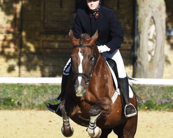 broodmare Emotion (Westphalian, 2000, from Ehrentusch)