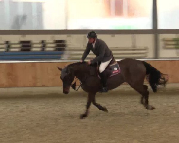 Late Entry Südlohn-Oeding 2015
