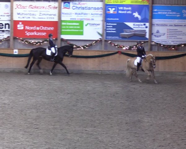 Reitturnier Leck 2021