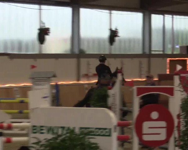Late Entry Südlohn-Oeding 2015