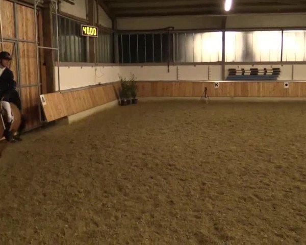 Late Entry Südlohn-Oeding 2015