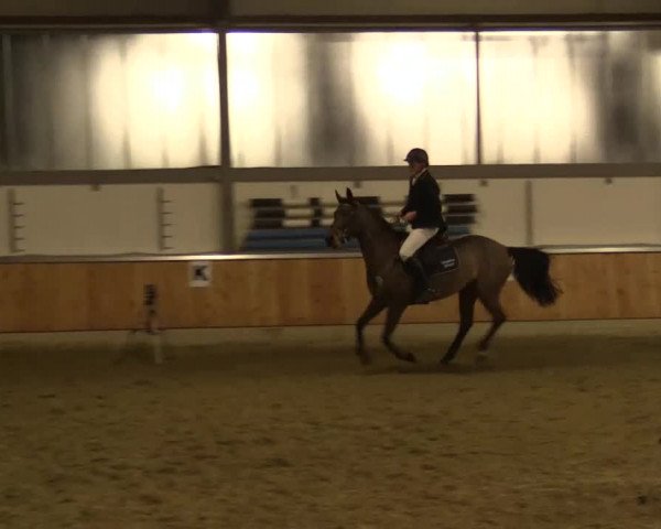 Late Entry Südlohn-Oeding 2015