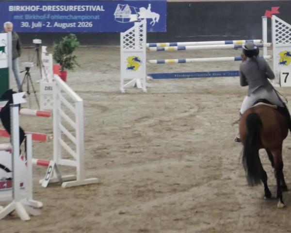 Jezdecký turnaj Weil der Stadt 2026