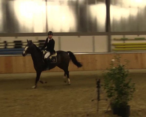 Late Entry Südlohn-Oeding 2015