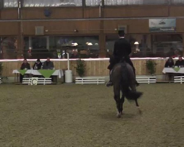 Late Entry Südlohn-Oeding 2015
