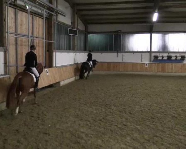 Late Entry Südlohn-Oeding 2015