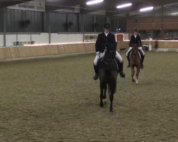 Late Entry Südlohn-Oeding 2015
