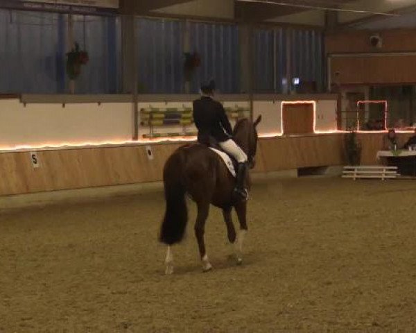 Late Entry Südlohn-Oeding 2015