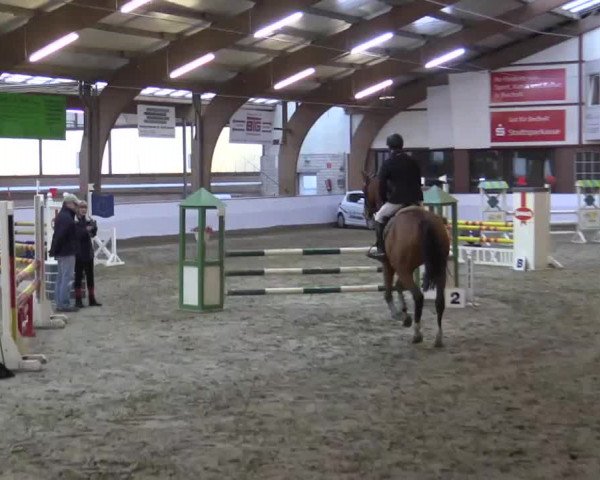 Hallenspringturnier Barlo Bocholt 2015