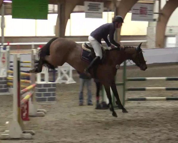 Hallenspringturnier Barlo Bocholt 2015