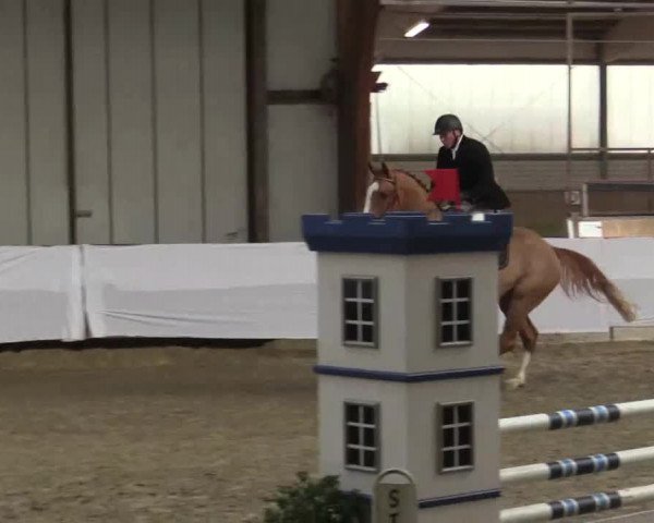 Hallenspringturnier Barlo Bocholt 2015