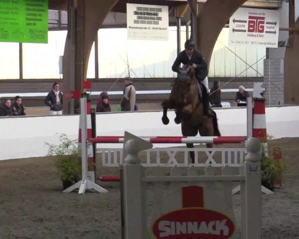 Hallenspringturnier Barlo Bocholt 2015
