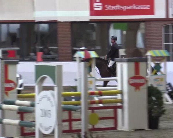 Hallenspringturnier Barlo Bocholt 2015