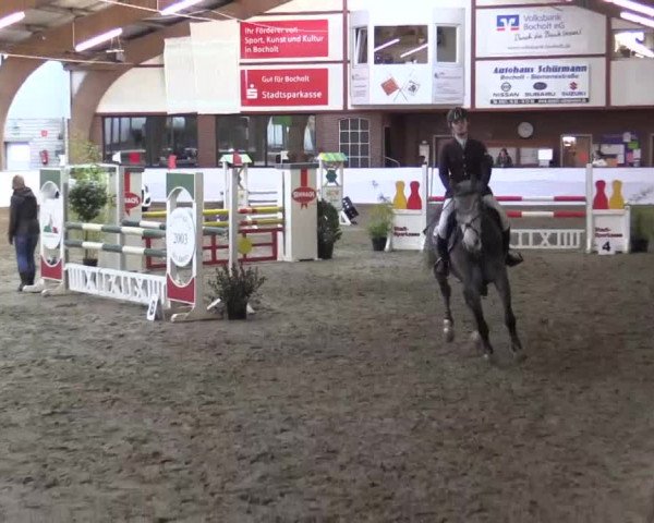 Hallenspringturnier Barlo Bocholt 2015