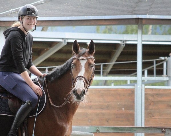 jumper Giselle 111 (Bavarian, 2012, from Cielito Lindo 2)
