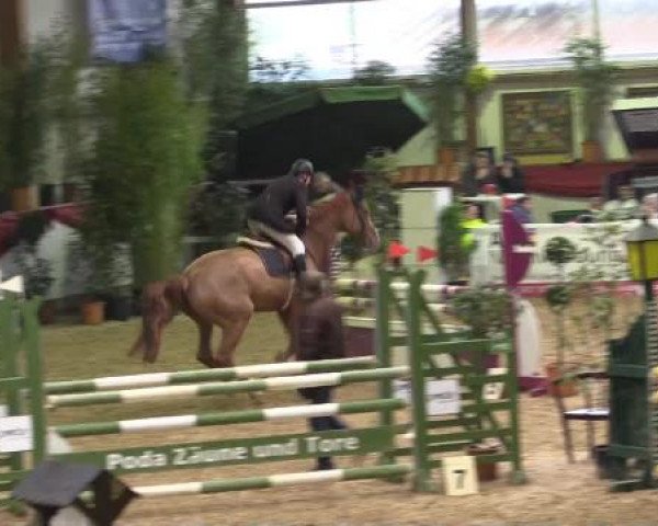 Hallenturnier Gehrde - Klein Drehle 2015