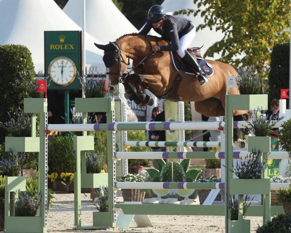 broodmare Elien (KWPN (Royal Dutch Sporthorse), 2009, from Carambole)