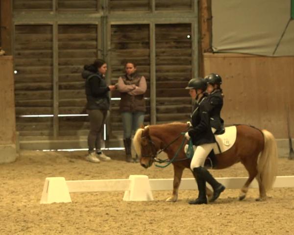 Jezdecký turnaj Mannheim-Neckarau 2026