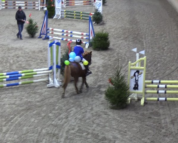 Reitturnier Leck 2021