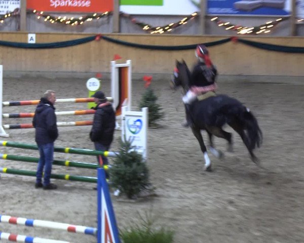 Reitturnier Leck 2021