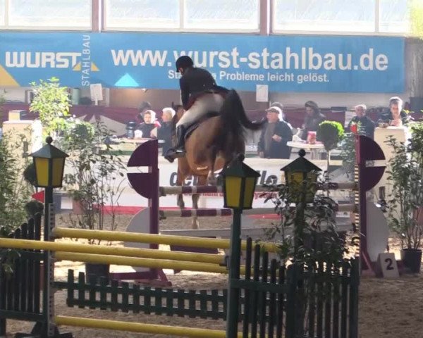 Hallenturnier Gehrde - Klein Drehle 2015