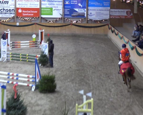Reitturnier Leck 2021