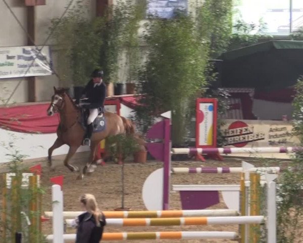 Hallenturnier Gehrde - Klein Drehle 2015