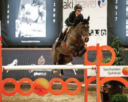 jumper Firefly (Swedish Warmblood, 2010, from Captain Fire)