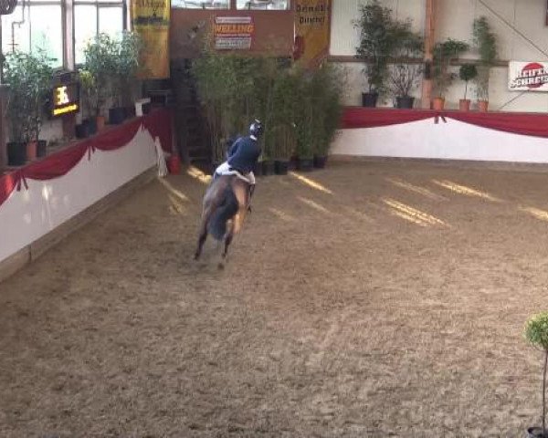 Hallenturnier Gehrde - Klein Drehle 2015