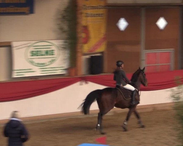 Hallenturnier Gehrde - Klein Drehle 2015
