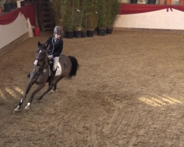 Hallenturnier Gehrde - Klein Drehle 2015