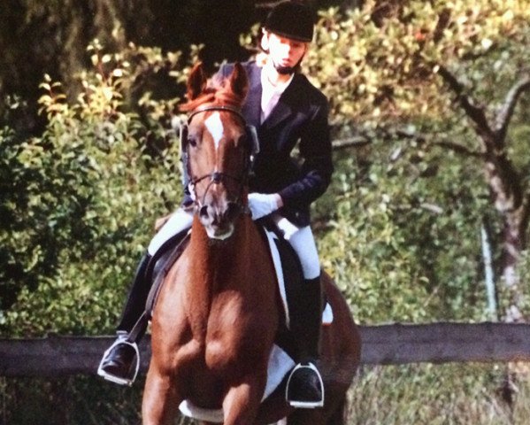 horse Floppys Girl (Trakehner, 1976, from Schwalbenflug)
