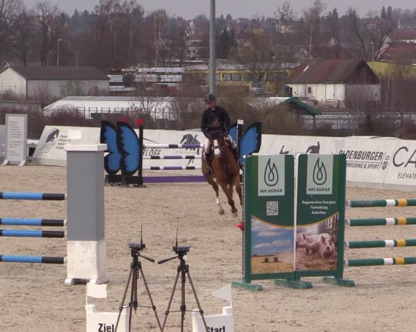 Tournoi Équestre Zwickau 2026