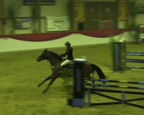Hallenturnier Gehrde - Klein Drehle 2015