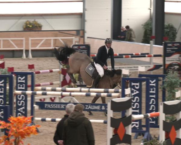 Torneo Equestre Borken (Hessen) 2026