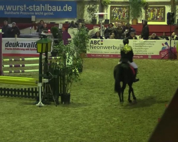 Hallenturnier Gehrde - Klein Drehle 2015