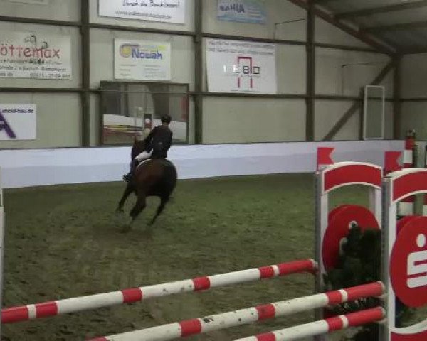 Hallenspringturnier Barlo Bocholt 2015