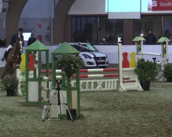 Hallenspringturnier Barlo Bocholt 2015