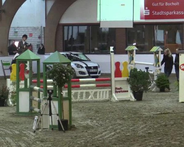 Hallenspringturnier Barlo Bocholt 2015