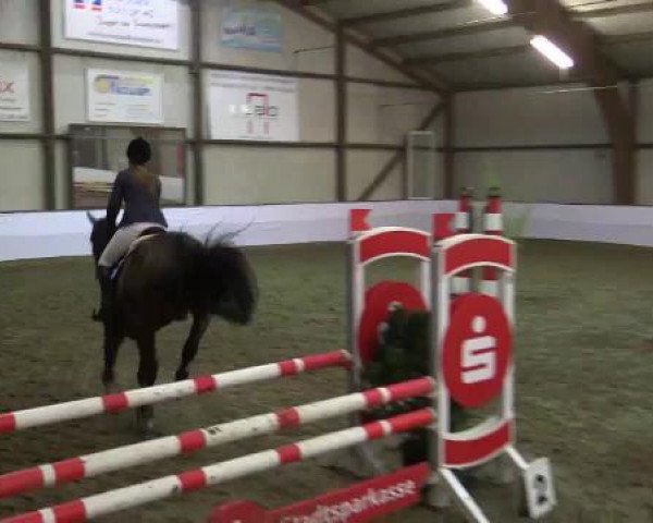 Hallenspringturnier Barlo Bocholt 2015