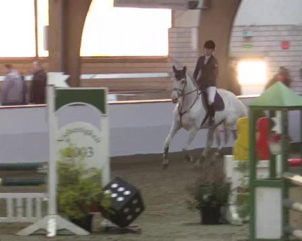 Hallenspringturnier Barlo Bocholt 2015